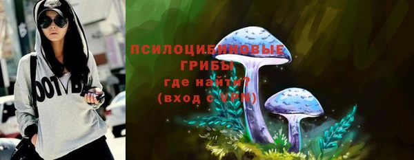 метадон Богданович