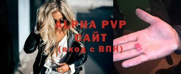 метадон Богданович