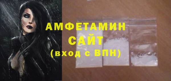 метадон Богданович