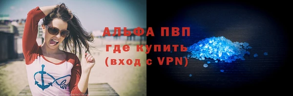 метадон Богданович