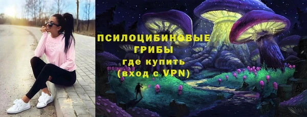ГАЛЛЮЦИНОГЕННЫЕ ГРИБЫ Богородицк