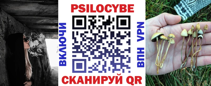 Псилоцибиновые грибы Psilocybe  Новороссийск 